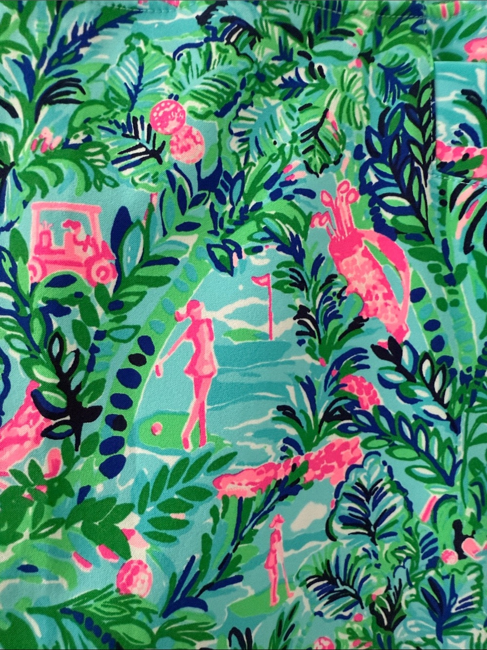 Lilly Pulitzer Tropical Mini Skort - Green & Pink - Picture 3 of 6